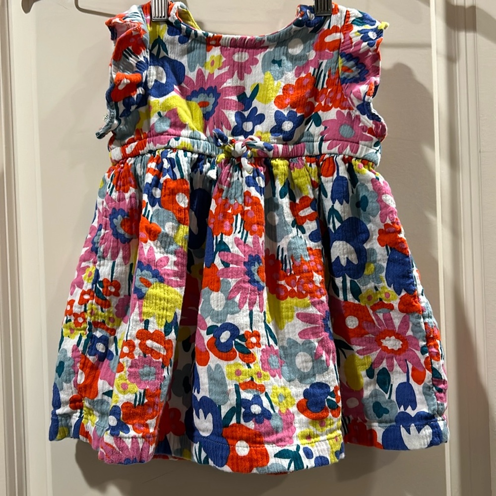 Hanna Andersson Floral Dress snaps ruffle sleeves 100% cotton lined size 18-24M